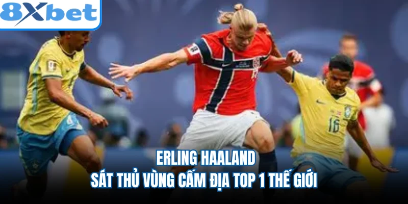 Erling Haaland - Sát Thủ Vùng Cấm Địa Top 1 Thế Giới